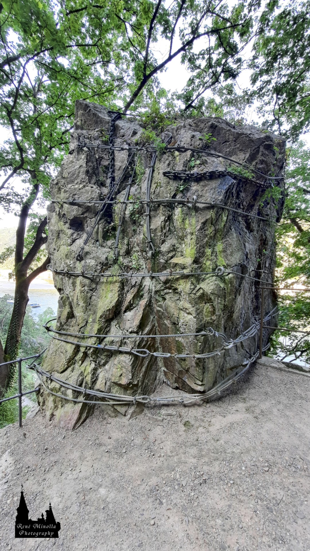 RMI 2463 20240826 175225